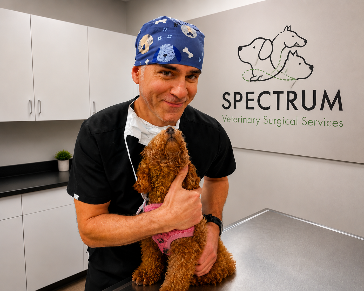 Dr. Petrisor Baia with a veterinary patient at Spectrum Veterinary Surgical Services