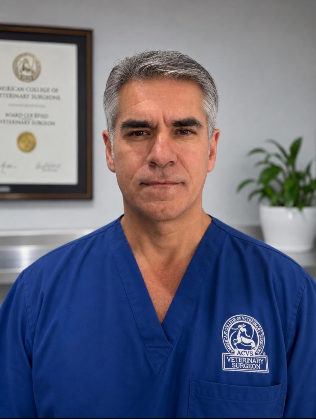 Dr. Petrisor Baia, board-certified veterinary surgeon